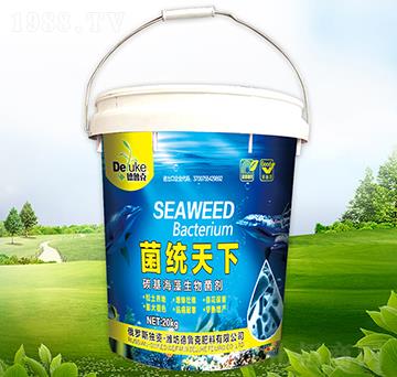 ̼�������������-���y(t��ng)����-������