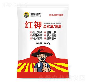 �t�-�������r(n��ng)