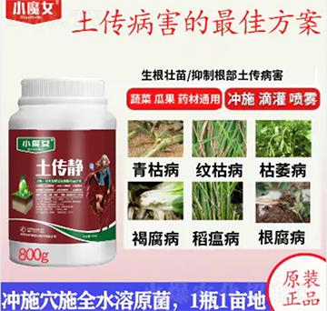 ������-СħŮ-���н�