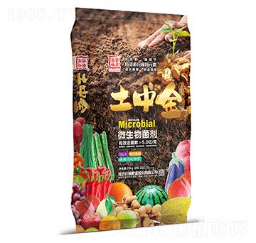 ΢�������-���н�-����ʘI(y��)