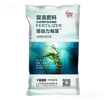 ���徫�A�����͏�(f��)�����20-5-15-����������-������