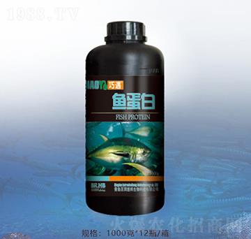 1000���~����-�ٝ�(r��n)�ݰ�