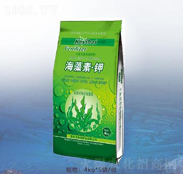 �����ء��-�ٝ��ݰ�