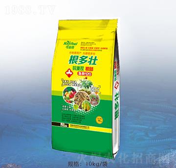 ������-�ٝ��ݰ�