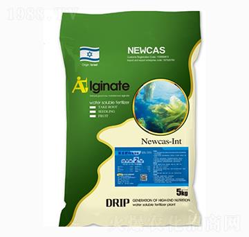 �������(f��)�Ϸ���-�~����