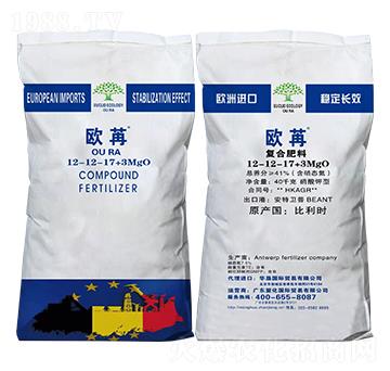 ������͏�(f��)�Ϸ���12-12-17+3MgO-�W��-�˻����H