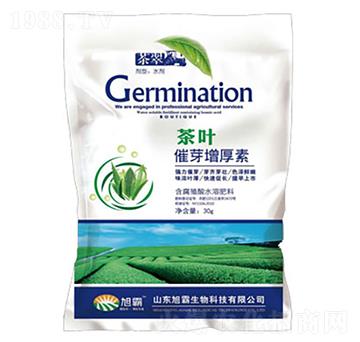 ���~��ѿ������-�������