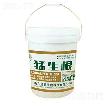 ������-�������