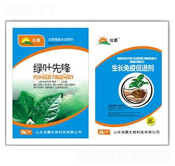 �G�~���h-�������