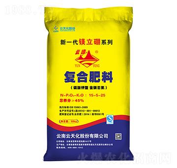 �ͺϷ���15-5-25-S-�V����-���컯