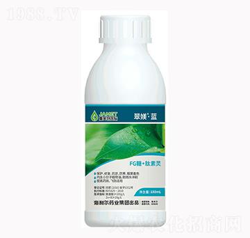 FG��+�����`-��Z���{(l��n)-������