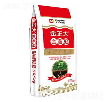 �����ЙC(j��)��-�����-������