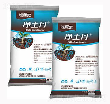 �����{�턩-������-���L�`