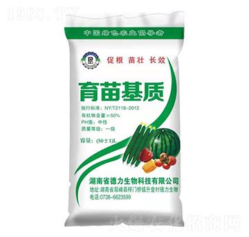 �߹�������|-��������