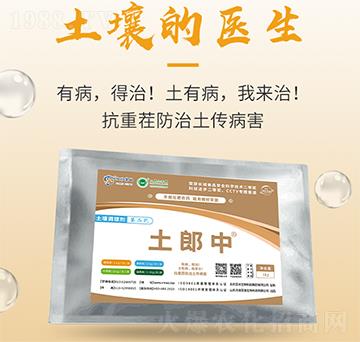 �����{�턩-������-���S����