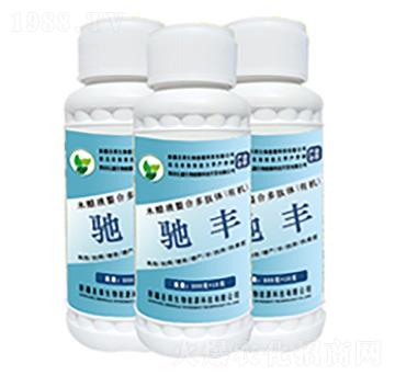 �󗗌����Y�S-ʥ�R����