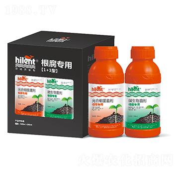 �������á�1+1�͡�-���{(l��n)��