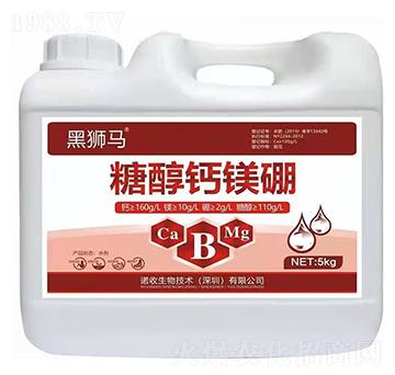 �Ǵ��}�V��-�ڪ{�R-�Z������