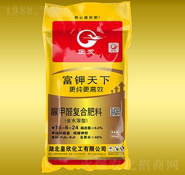 ���ȩ��(f��)�Ϸ���16-6-24-�������-����