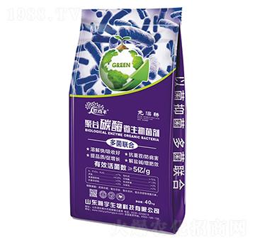 �ۺ�̼ø΢�������-�������