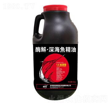 ø�⡤��~����-�������