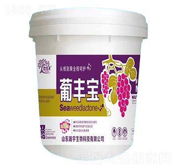 ���S��-�������