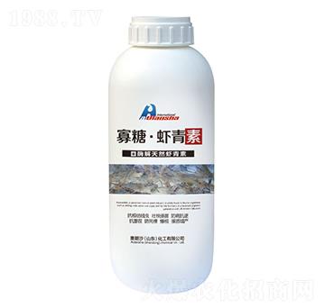 ø����Ȼ�r����-���ǡ��r����-�W��ɳ