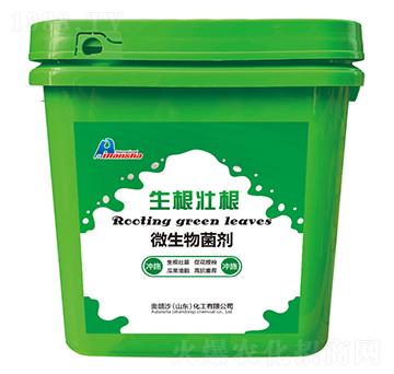 �����Ѹ���΢�������-�W��ɳ