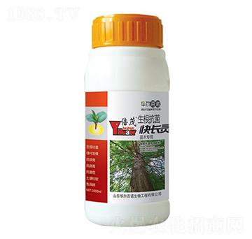 ��ľ���������������L�`-�A�����Z