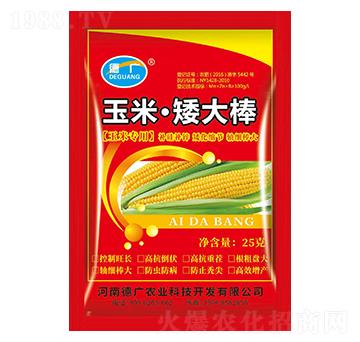 ���ס������-�V-����ԥ��