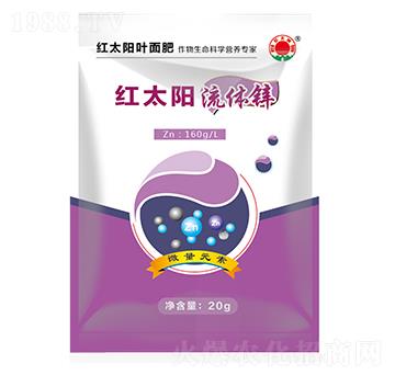 ���w�\������-�t̫�-