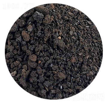 ��ֲ�����-�𺣵|