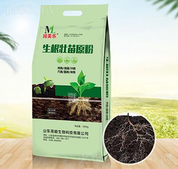 ��������ԭ��-�������