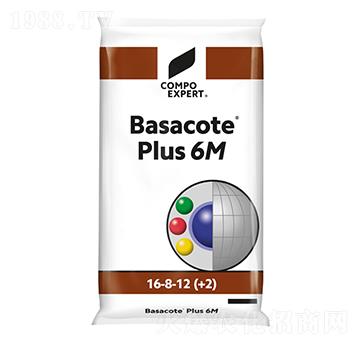 巴薩克16-8-12(6M)-康樸