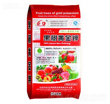 �����S��⛣��t��-�����ʘI(y��)