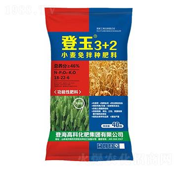 �ͺϷ���18-22-6-����3+2-�Ƿ�