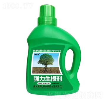 1000mlǤ�塤������������������-�ֱ�ķ-�T�ַ���