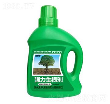 500mlǤ�塤����������(qi��ng)��������-�ֱ�ķ-�T�ַ���