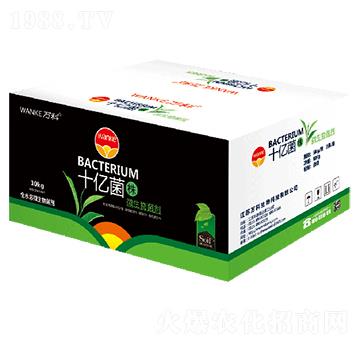 ���bʮ�|���꣨10�|����-�f��