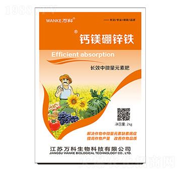 �}�V���\�F-�f��