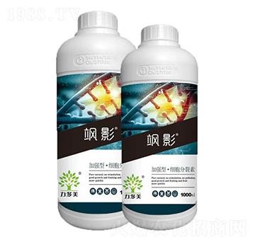 �ӏ��͡�����������-�SӰ-�r(n��ng)ʥ��