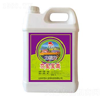 ������-�r(n��ng)ʥ����-�r(n��ng)ʥ��