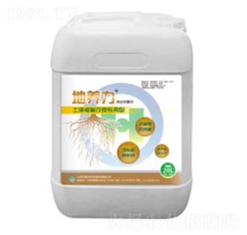 �����ޏ�(f��)������(zhu��n)��-���B(y��ng)��-��(gu��)�h(hu��n)���B(t��i)