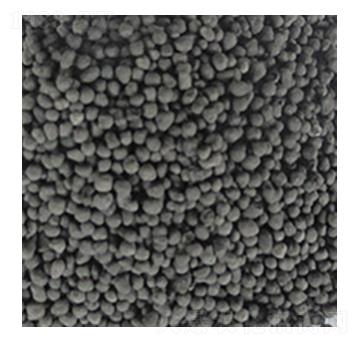 ��ֲ���V-��W�Ƽ�