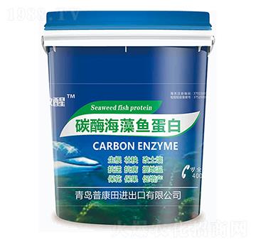 ̼ø�����~����-����-�տ���