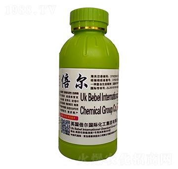 �����������-�տ���