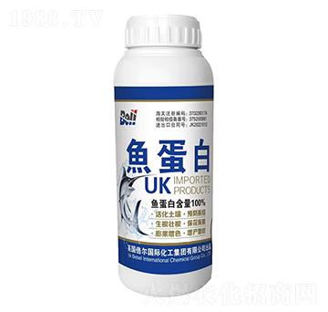 �M(j��n)���~����-Ӣ��(gu��)����-�տ���