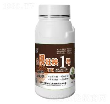 ��������1̖(h��o)-Ӣ������-�տ���