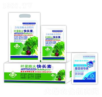 �~�������L(zh��ng)��+�����T��(d��o)��-�ֵϾ�