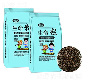 �����S�����-������-�ֵϾ�